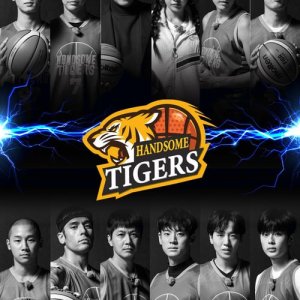 Handsome Tigers SP (2020)