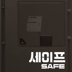 Safe (2013)