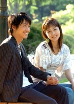 My Lovely Family Korean Drama photo