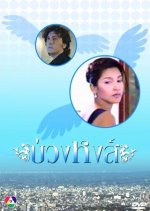 Buang Hong Thai Drama(1998) photo