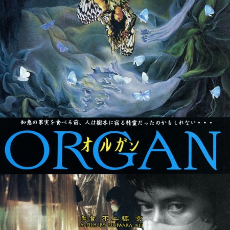 Organ (1996)
