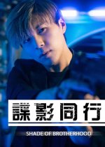 Shade of Brotherhood Hong Kong Movie photo