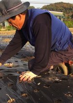 The People Next to Coal Power Plant Korean Movie photo