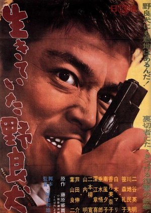 Hot-Bed of Crime (1961) poster