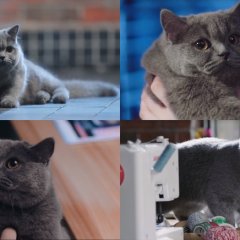 My Lonely Planet Chinese Drama photo