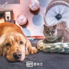 My Lonely Planet Chinese Drama photo