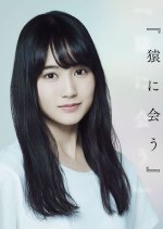 Meet the Monkey Japanese Drama photo