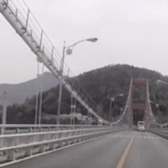 Collectors Korean Movie(2021) photo