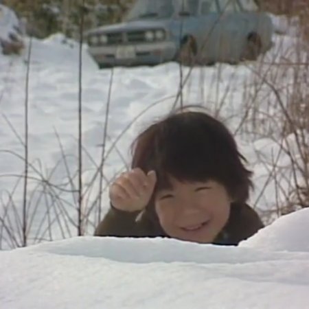Kita no Kuni Kara (1981)