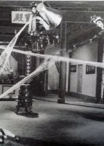 Three Wild Beauties Hong Kong Movie photo