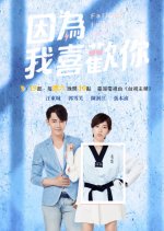 Falling Into You Taiwanese Drama photo