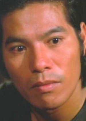 Chiang Tao in Challenge of the Tiger Hong Kong Movie(1980)