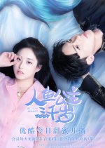 My Dear Mermaid Chinese Drama photo