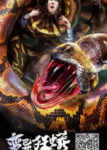 Monty Python Chinese Movie photo