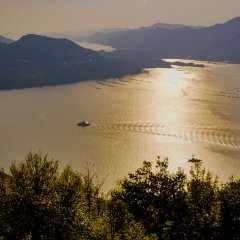 Nosari: Impermanent Eternity Japanese Movie photo