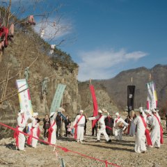 Peafowl Korean Movie photo