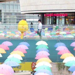 Free Bird Korean Movie(2017) photo