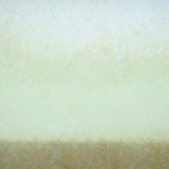 Woman Who Killed a Lion Korean Movie photo