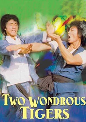 Two Wondrous Tigers (1979) poster