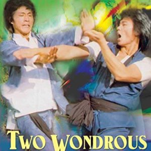 Two Wondrous Tigers (1979)