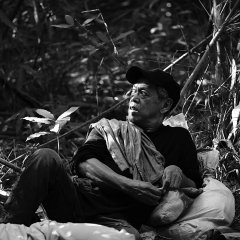 Genus, Pan Philippines Movie photo