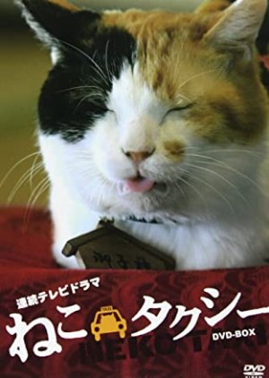 Cat Taxi (2010) poster