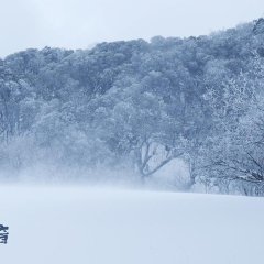 The Sound of Da Li Chinese Movie photo