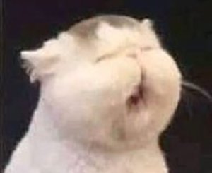 Jingi