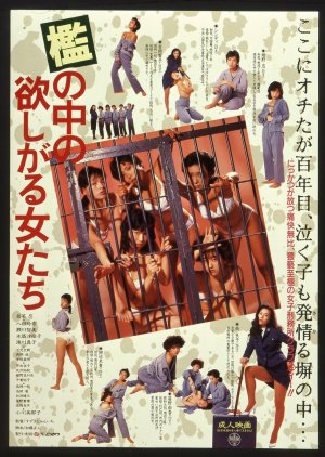 Women in Heat Behind Bars (1987) poster