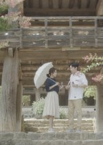 Drama Special Season 7: Noodle House Girl Korean Drama photo