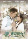Love, Just Come chinese drama review
