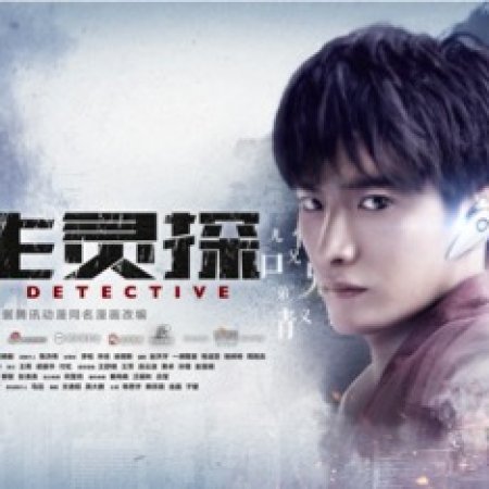 Twin Detective (2017)