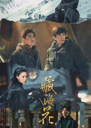 Can Hai Hua () poster