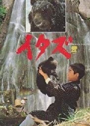 Forest of the Little Bear (1987) poster