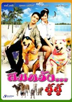 Somwung Soo Soo Thai Drama photo