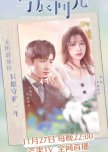 Irreplaceable Love chinese drama review