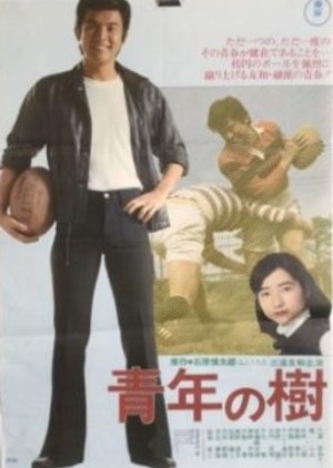 Seinen no Ki (1977) poster