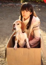 Haru no Maboroshi Japanese Drama photo