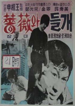Rose And Wild Dog (1976) poster