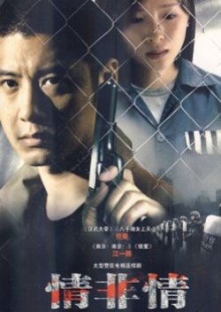 Qing Fei Qing (2011) poster
