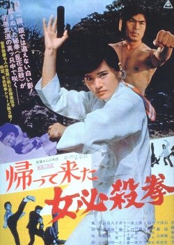The Return of the Sister Street Fighter (1975) poster
