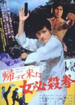 The Return of the Sister Street Fighter Japanese Movie photo