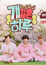 Monsta X's Puppy Day Korean TV Program photo