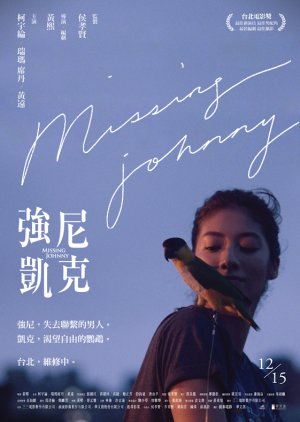 Missing Johnny (2017) poster