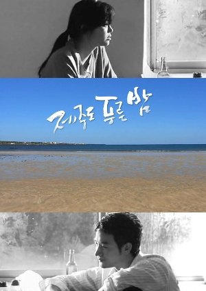 Drama City: Blue Skies of Jeju Island (2004) poster