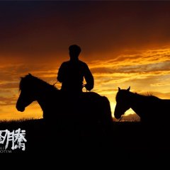 Wolf Totem Chinese Movie photo