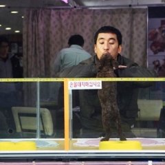 Kiss Me, Kill Me Korean Movie photo