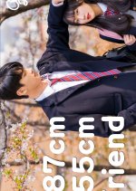 187 cm Male Friend vs 155 cm Female Friend Korean Drama photo