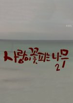 The Tree Blooming with Love Season 2