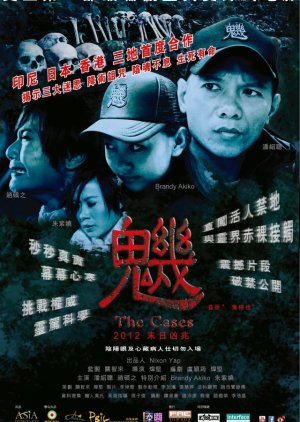 The Cases (2012) poster